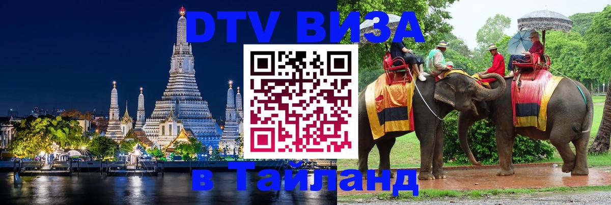 Сколько стоит DTV виза — актуальные цены, оформление даже без документов - 09.01.2026 